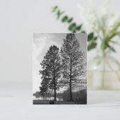 Wenen Maryland waterfront Briefkaart (Staand voorkant)