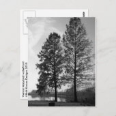 Wenen Maryland waterfront Briefkaart (Voorkant / Achterkant)