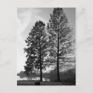 Wenen Maryland waterfront Briefkaart