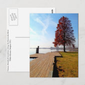 Wenen Maryland Waterfront-Nanticoke River Briefkaart (Voorkant / Achterkant)