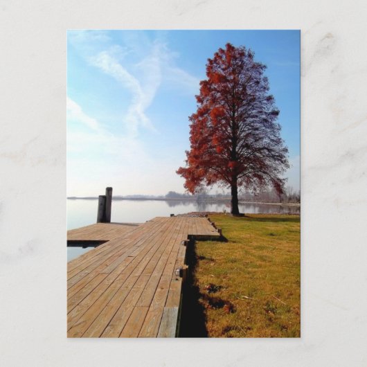 Wenen Maryland Waterfront-Nanticoke River Briefkaart (Voorkant)