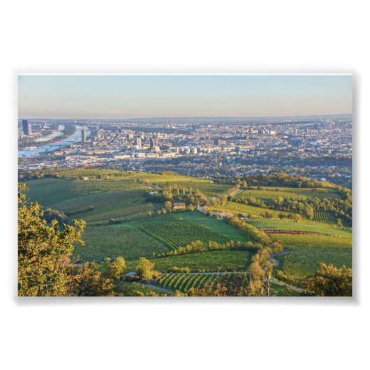 Wenen, Oostenrijk, Panorama vanaf de Kahlenberg Foto Afdruk (Voorkant)
