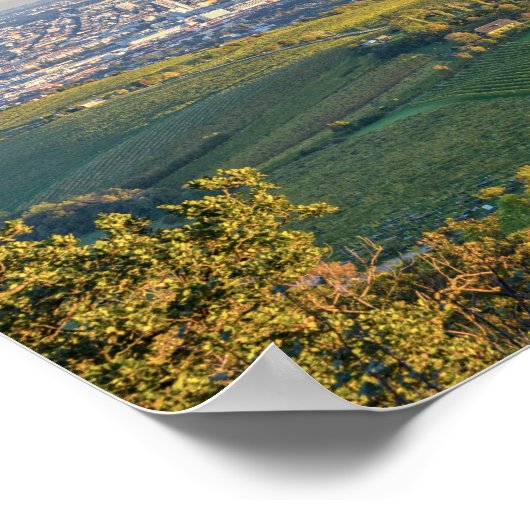 Wenen, Oostenrijk, Panorama vanaf de Kahlenberg Poster (Hoek)