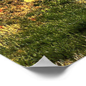 Wenen Wineyard Rainbow Poster (Hoek)