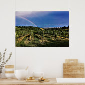 Wenen Wineyard Rainbow Poster (Keuken)