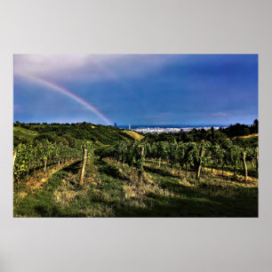 Wenen Wineyard Rainbow Poster