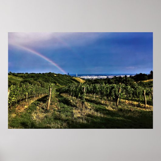 Wenen Wineyard Rainbow Poster (Voorkant)