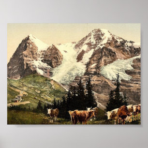 Wengern, Monch en Eiger, Bernese Oberland, Zwitser Poster