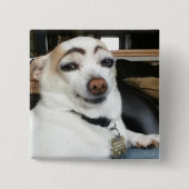 Wenkbrauw Hond Meme Pin Button (Voorkant)