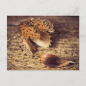 Wenn ein Samen zum Baum wird ... Briefkaart (Voorkant)