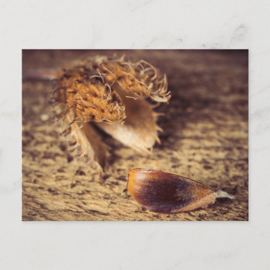 Wenn ein Samen zum Baum wird ... Briefkaart (Voorkant)