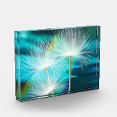 Wens Bloem Levendig Foto Blok (Links)
