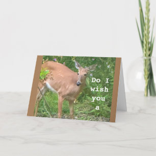 WENS IK U EEN GELUKKIGE VERJAARDAG! ZEKER WETEN! KAART