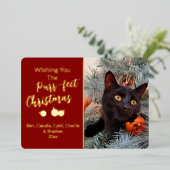 Wens je de Gesponnen-perfecte kerstkattenfoto Folie Feestdagenkaart (Staand Voorkant)