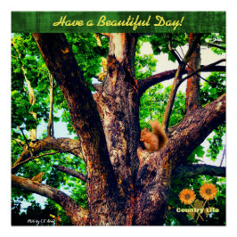 Wens je een mooie dag - boom - country life perfect poster