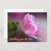 Wens je het beste - Roos Verjaardag Kaart (Voorkant / Achterkant)