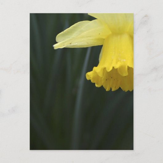 Wens voor een warm Briefkaart (Voorkant)