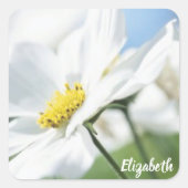 Wensen met witte madeliefjes gepersonaliseerd vierkante sticker (Voorkant)