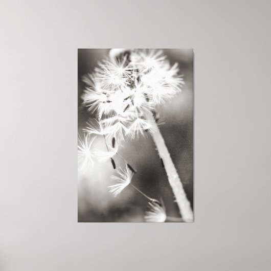Wensen Sturen Canvas Afdruk (Voorkant)