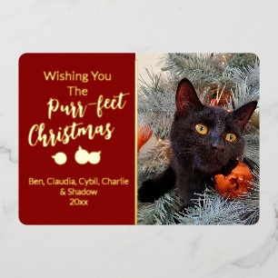 Wensen van een Poes-perfecte Kerstmis Kat Foto Folie Feestdagenkaart