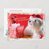 Wensen van Kerstmis van Terrier van het Hoogland Feestdagenkaart (Voorkant / Achterkant)