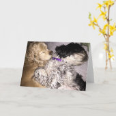 WENSEN VERSTUREN TERWIJL WE DUTTEN OP JE VERJAARDA KAART (Gele Bloem)