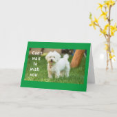 **WENSEN VOOR DE BESTE VERJAARDAG OOIT** KAART (Gele Bloem)