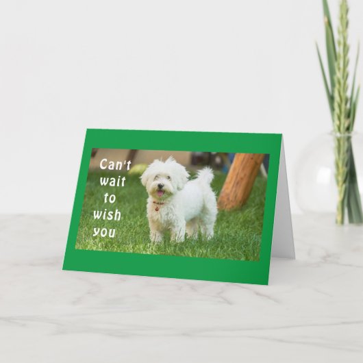 **WENSEN VOOR DE BESTE VERJAARDAG OOIT** KAART (Voorkant)