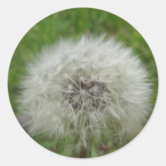 wensend sticker (Voorkant)