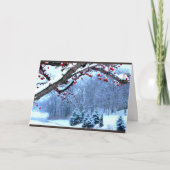 Wensend u een Mooi Seizoen van Kerstmis Feestdagen Kaart (Voorkant)