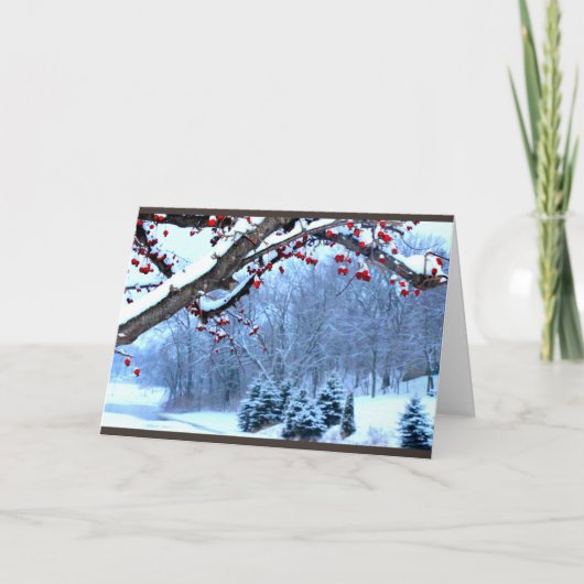 Wensend u een Mooi Seizoen van Kerstmis Feestdagen Kaart (Voorkant)