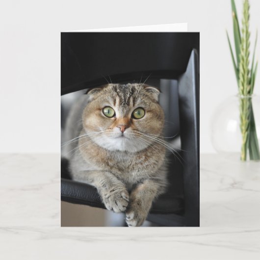 Wensend u gelukkige verjaardag kaart (Voorkant)