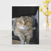 Wensend u gelukkige verjaardag kaart (Gele Bloem)