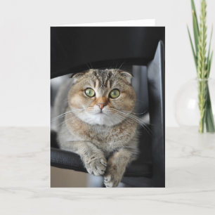 Wensend u gelukkige verjaardag kaart