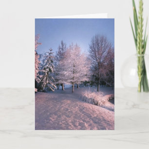 Wensend u Vrede deze Kerstmis (kaart) Feestdagen Kaart