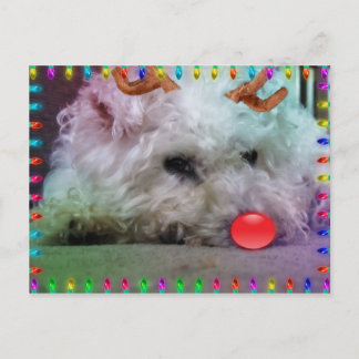 WENSEND U VROLIJKE KERSTMIS FEESTDAGENKAART