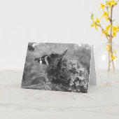 Wenskaart - Admiral Butterfly in zwart-wit Kaart (Gele Bloem)