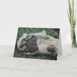 wenskaart "African Lion Paw" Kaart