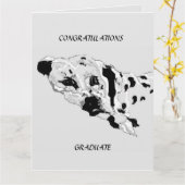 Wenskaart afstuderen: Dalmatiërs Kaart (Gele Bloem)