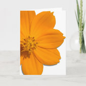 Wenskaart - Alle gelegenheden - Oranje Kosmos Kaart (Voorkant)