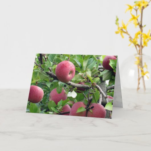 Wenskaart Apple Tree Kaart (Gele Bloem)