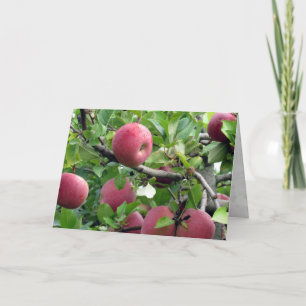 Wenskaart Apple Tree Kaart