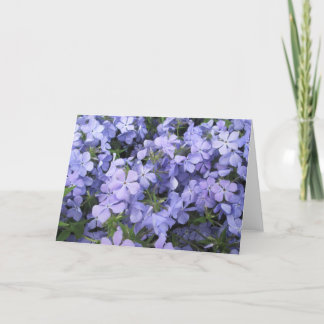 Wenskaart - Blauwe Phlox I Kaart