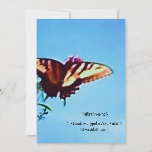 Wenskaart "Bliss" Feestdagenkaart (Voorkant)