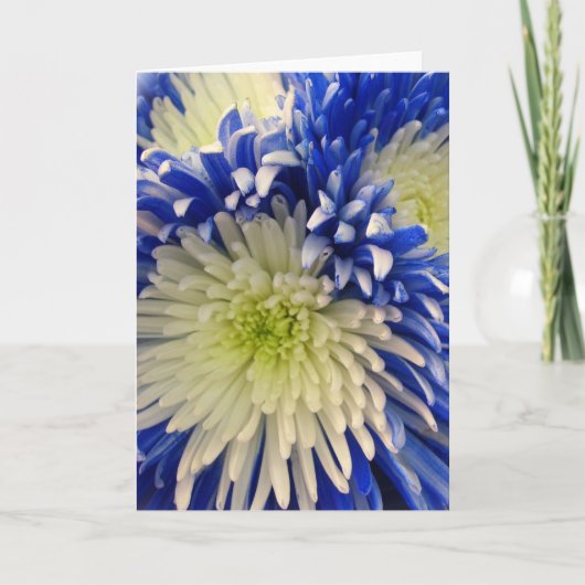 Wenskaart - Blue & White Spider Mums Kaart (Voorkant)