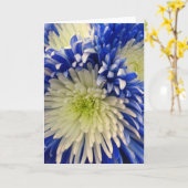 Wenskaart - Blue & White Spider Mums Kaart (Gele Bloem)