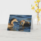 Wenskaart - bont-Gefactureerde futen met Kaart (Gele Bloem)