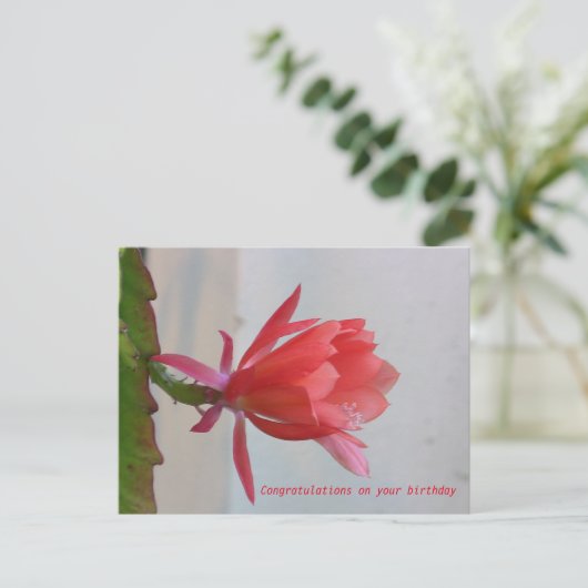 Wenskaart Briefkaart (Staand voorkant)