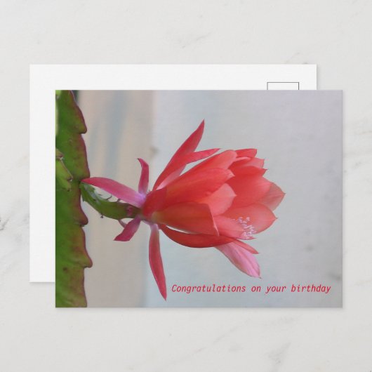 Wenskaart Briefkaart (Voorkant / Achterkant)