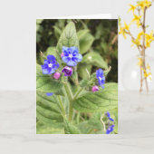 Wenskaart, briefkaart, bloemen, kaarten online (Gele Bloem)